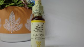 Thumbnail of post image 095