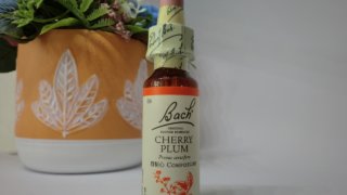 チェリープラム