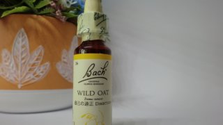 ワイルドオート