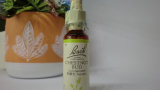 Thumbnail of post image 012