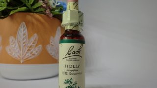 Thumbnail of post image 153