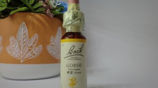 Thumbnail of post image 128