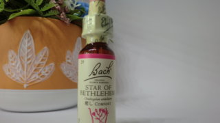 スターオブベツレヘム