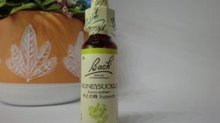 Thumbnail of post image 179