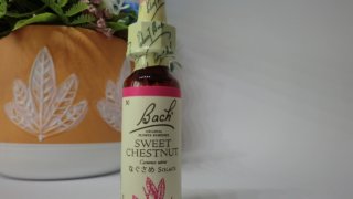 スイートチェストナット