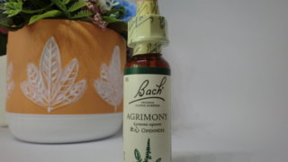 １アグリモニー