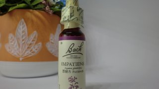 インパチエンス