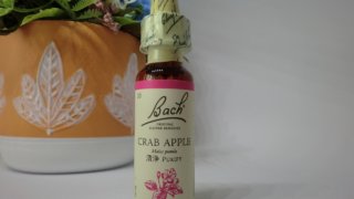 Thumbnail of post image 022