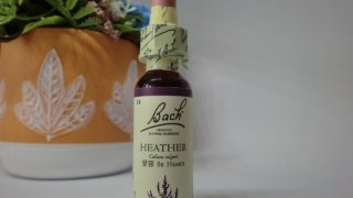 Thumbnail of post image 002