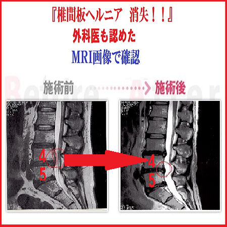 画像の説明 画像の説明