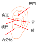 耳つぼダイエット図